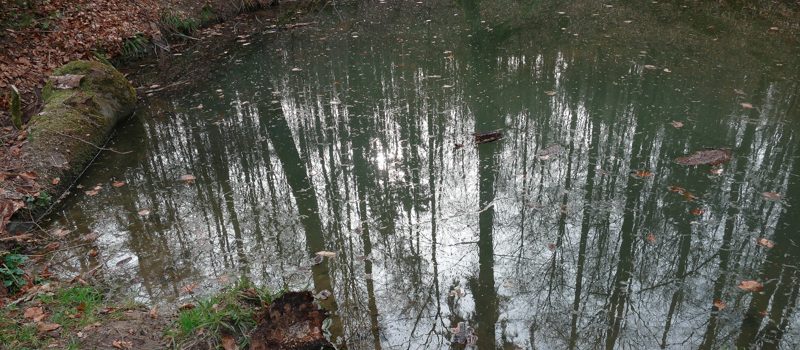 Wasser die 2.
