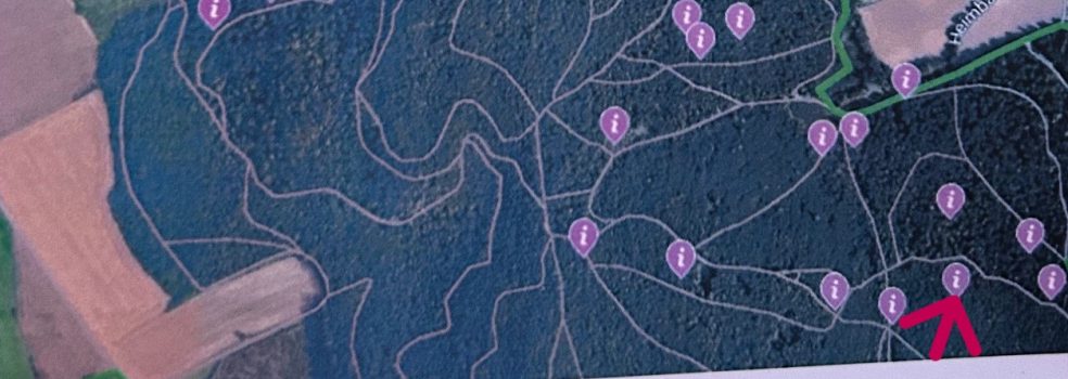 Aus Spaß wird ernst – oder die 1. Jagd